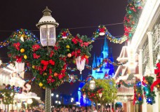 Magic Kingdom Christmas Garlands