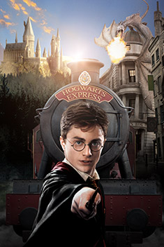 Harry Potter - Hogswort Express