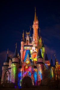 Cinderella's Castle Project Show-2011