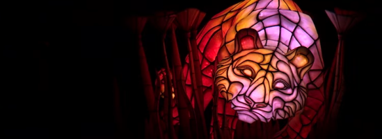 Behind-the-Scenes Look at Animal Kingdom’s “Rivers of Light”