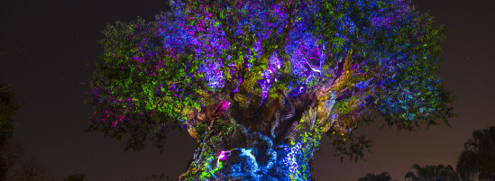 “Tree of Life Awakens” Debuting at Disney’s Animal Kingdom