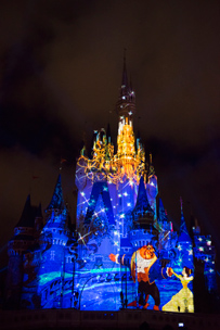 "Once Upon A Time" Castle Projection Show Magic Kingdom 2016